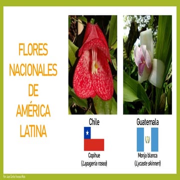 Flores Nacionales de América Latina - Botánica