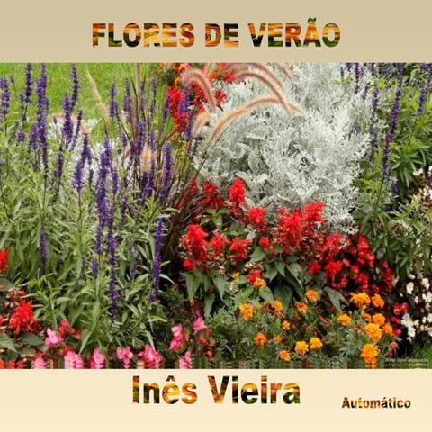 Flores de verao