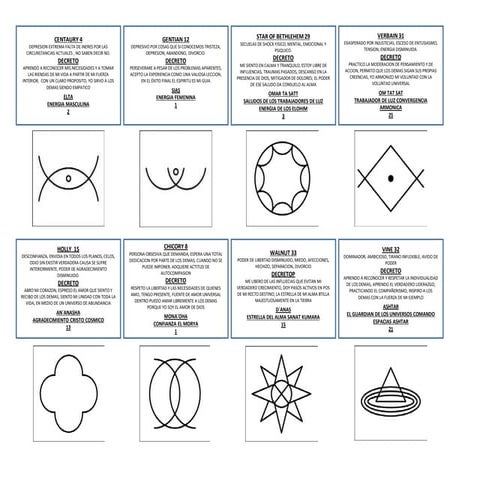 FLORES DE BACH Y DECRETOS.pptx