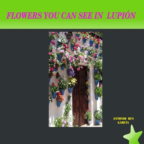 Flowers you can see in Lupión