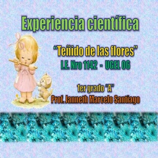 Flores pintadas primer grado a