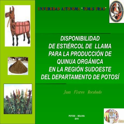Flores  R. Juan -  Disponibilidad  de estiercol de  llama  para la producción de quinua _ R.M.