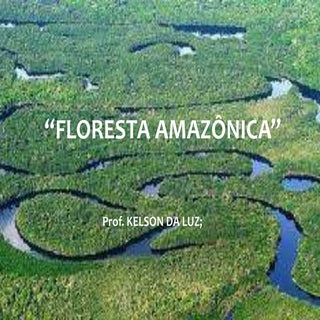 Floresta amazônica