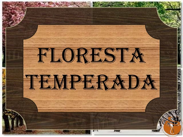 Floresta temperada 