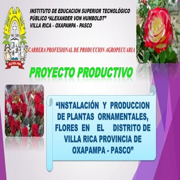 Flores   villa prado juanjui zeng rojas alvarado