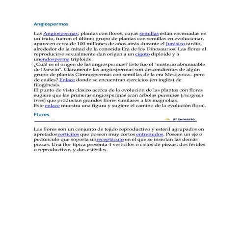 Flores y reproduccion