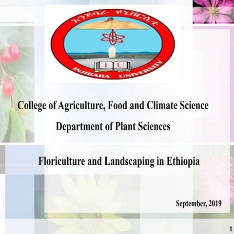 Floriculture &amp; landscaping in ethiopia