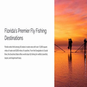 Florida's Premier Fly Fishing Destinations