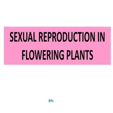 Flow charts XII Sexual reproduction in flowering plants.pptx