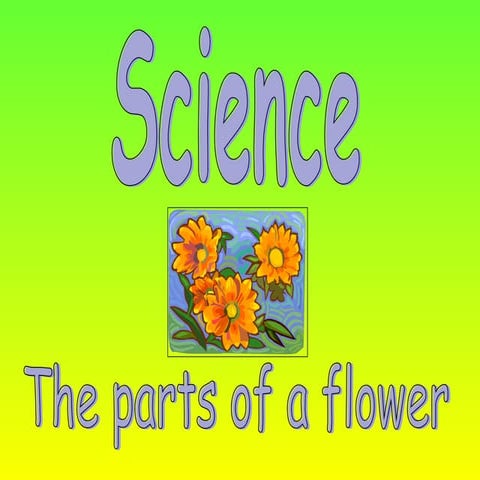The parts of the flowers
