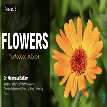 Practical pharmacognosy: Flower 1. clove 2023.pdf