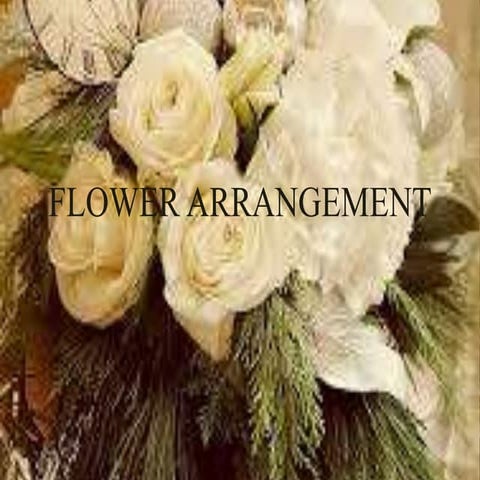 Flower arrangement   botany