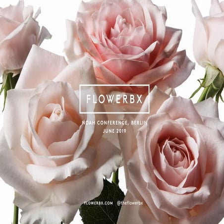 Viu Noah19 Berlin Pdf