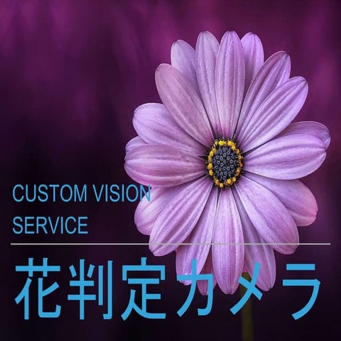 Custom Vision Service で花判定カメラ