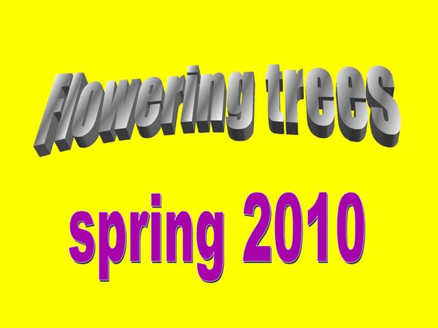 Flowering trees