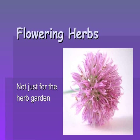 Flowering herbs