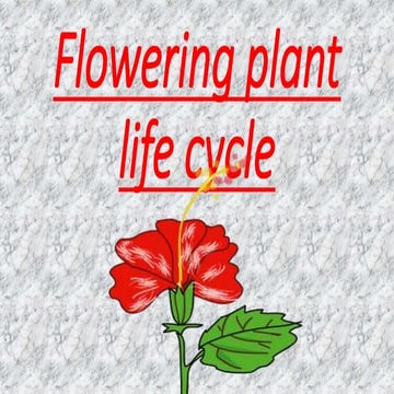 Flowering plant life cycle | PPTX