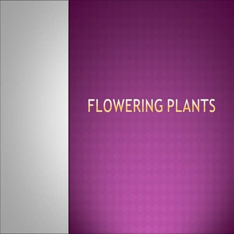 Parts of the plant and their functions | PPT