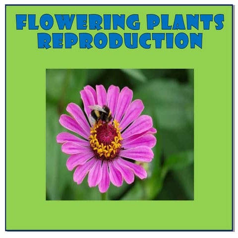 Flowering plants reproduction