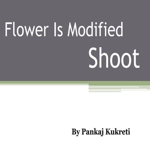 Flower is modified Shoot