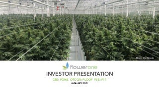 Another Amazing Medical Use For Marijuana: Mrsa