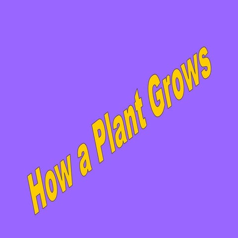 Flowerpoint Production