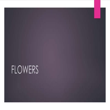 Flowers | PPTX