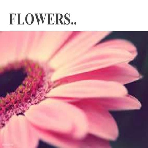 Flowers: Parts and Functions