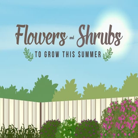 Flowers and Shrubs to Grow This Summer