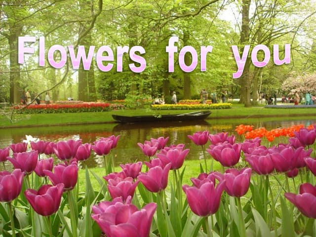 Flowers for you
