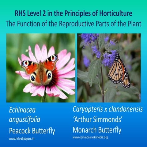 Flower structure, pollination, fertilization