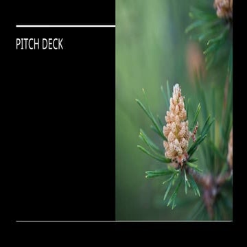 FLOWER TEMPLATE POWERPOINT PRESENTATION.pptx