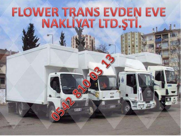 Güneşli Evden Eve