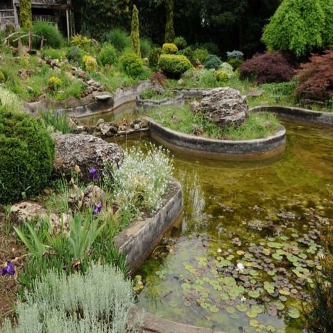 Flower yards and landscape arrangements