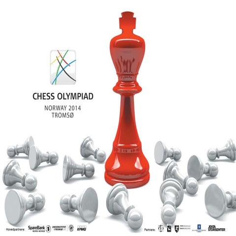 Flow foredrag 2015 - Erfaringer fra en uerfaren leder