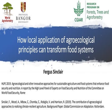 How local application of agroecological principles can transform food systems