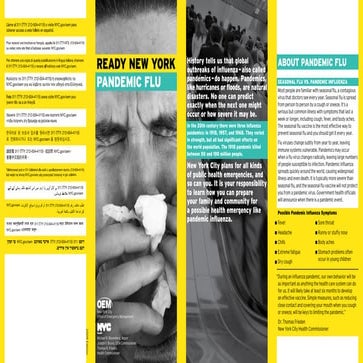 Influenza | PDF