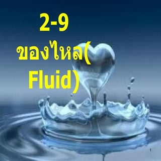 Fluid