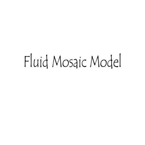 Fluid  Mosaic  Model