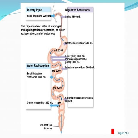 fluid an                                    dd.ppt