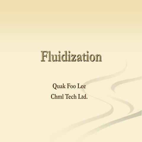 Fluidization Reactor