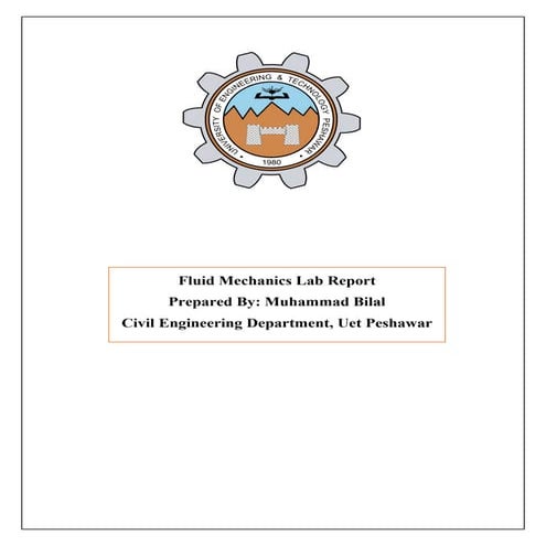 Fluid mechanics Lab Report