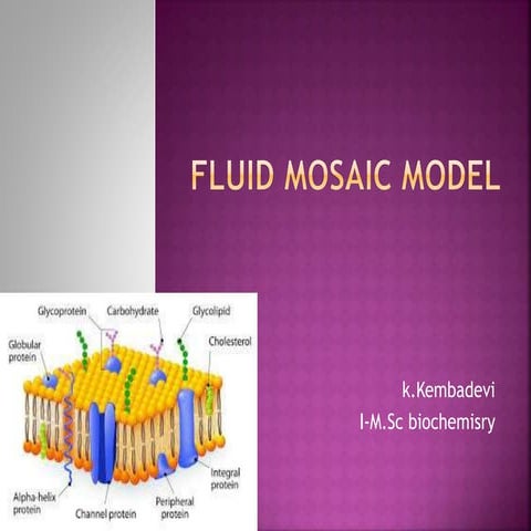 Plasma membrane( fluid mosaic model)ppt.