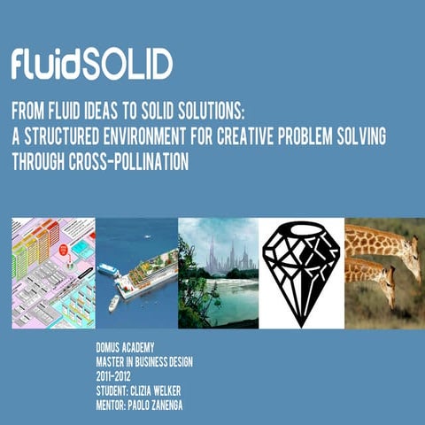 FluidSOLID. Innovation through creative problem solving and cross-pollination