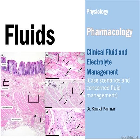 Intravenous Fluids PPT Crystalloids, Colloids, Balanced Crystalloids.pptx