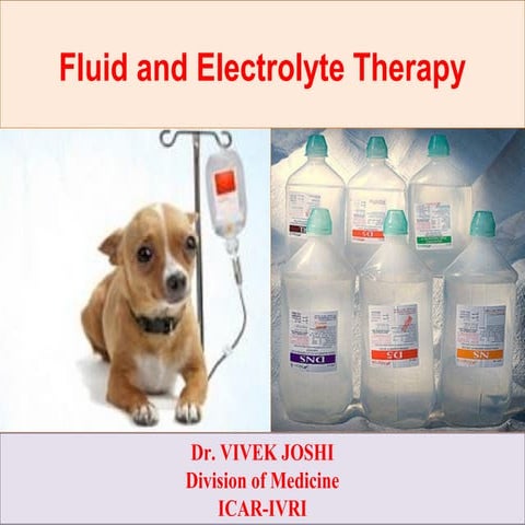 Fluid therapy_Animals