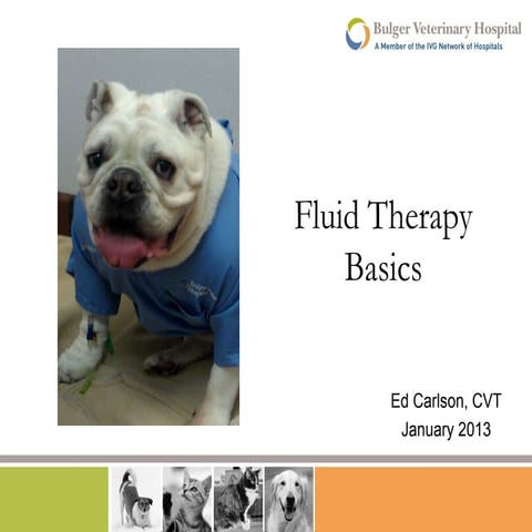 Fluid therapy  final