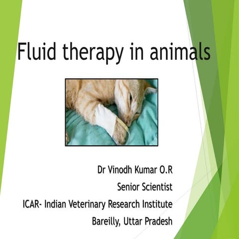 Fluid therapy in animals