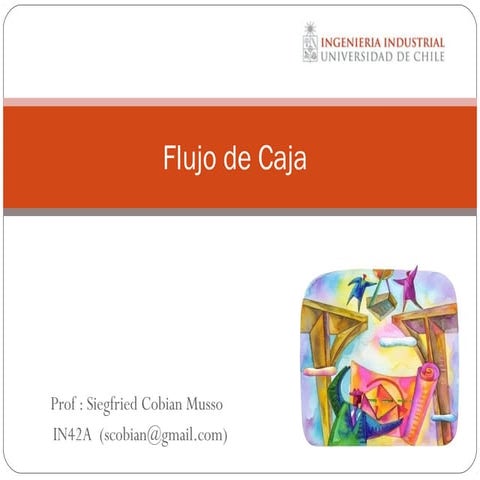Flujo de caja_i