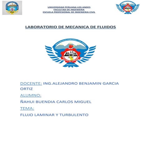 Flujo laminar y turbulento